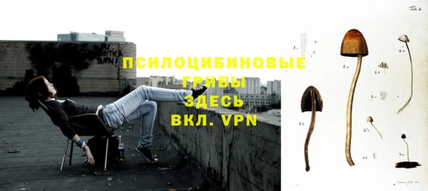 крисы Абдулино